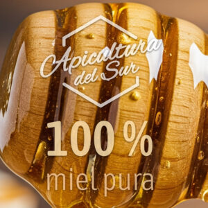 Miel Pura 100%