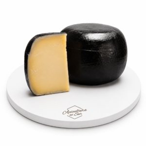 Queso Sardo